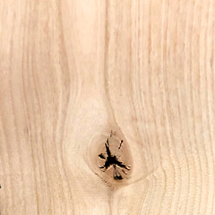 Knotty Alder 2 Panel BiFold Door - Image 3